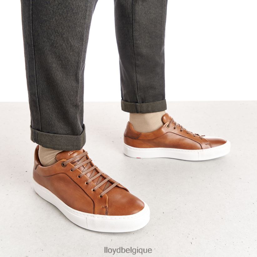 LLOYD ajan Hommes brun 4Z6Z66391 chaussures