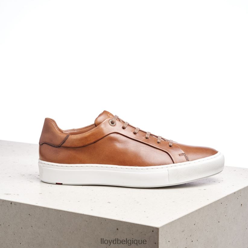 LLOYD ajan Hommes brun 4Z6Z66391 chaussures