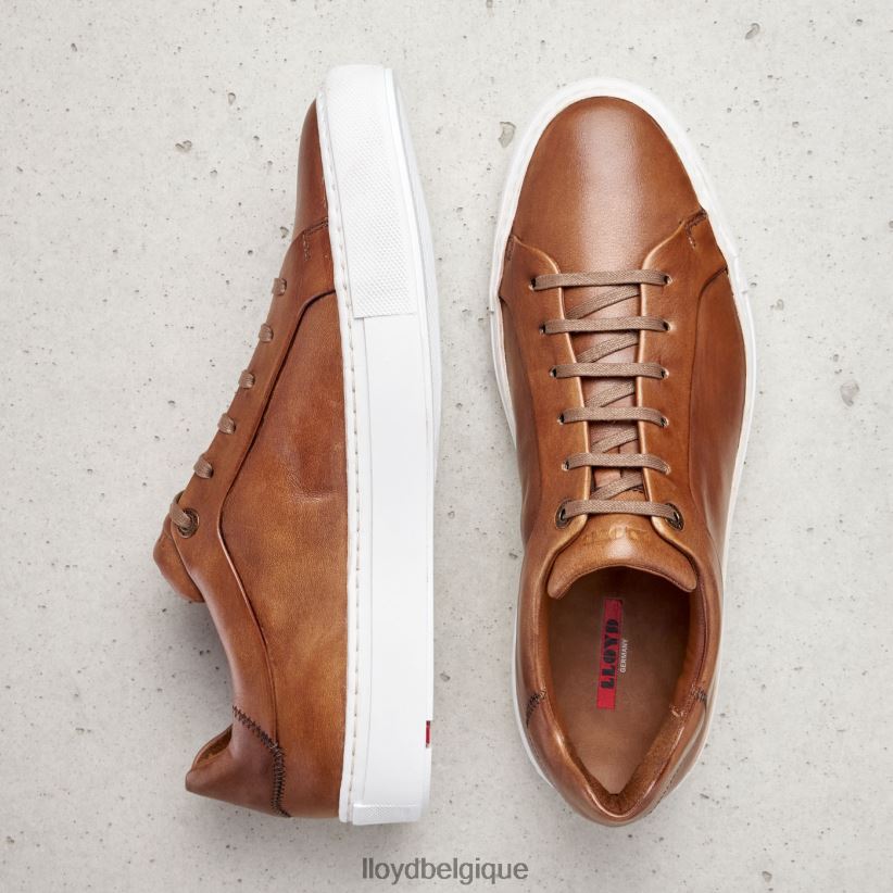 LLOYD ajan Hommes brun 4Z6Z66391 chaussures