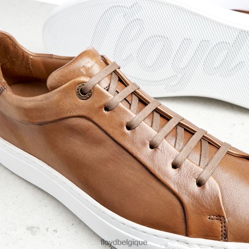 LLOYD ajan Hommes brun 4Z6Z66391 chaussures