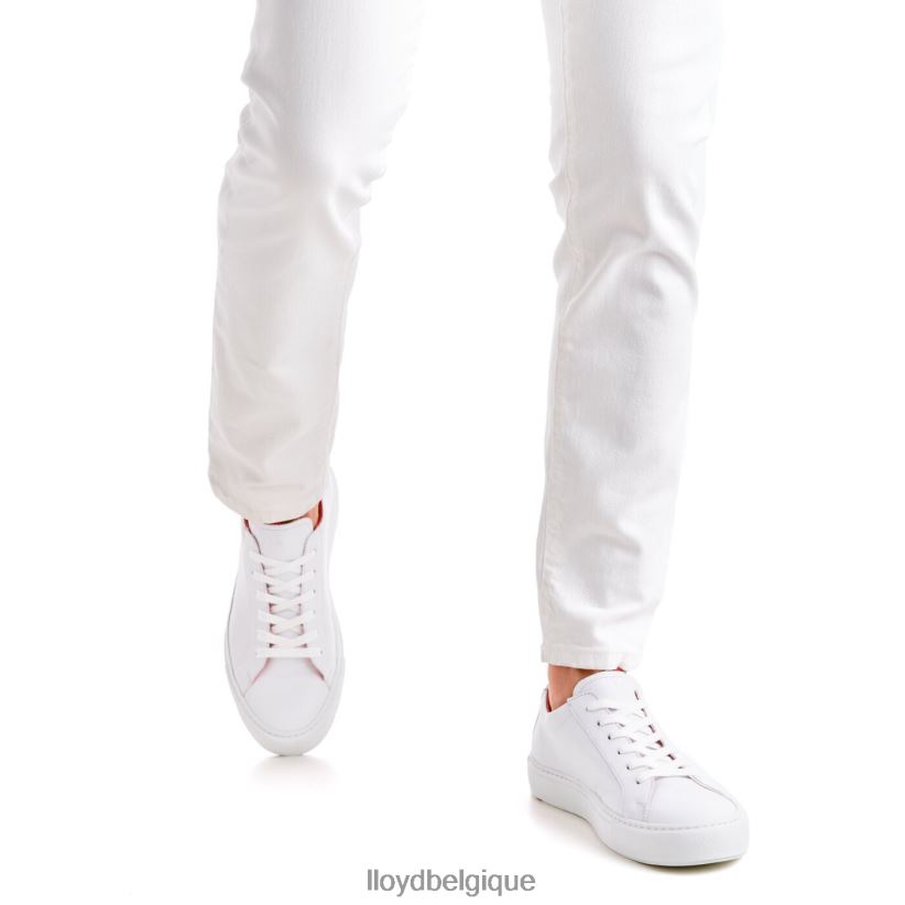 LLOYD austin Hommes blanc 4Z6Z66348 chaussures