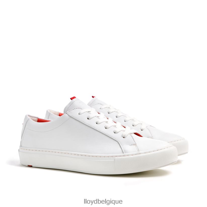 LLOYD austin Hommes blanc 4Z6Z66348 chaussures