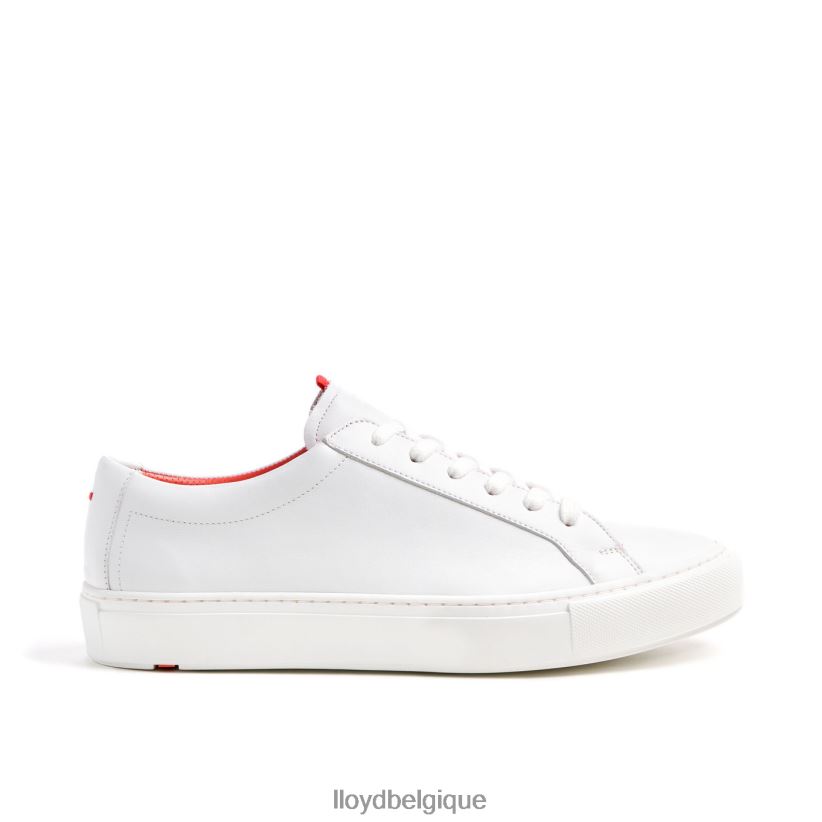 LLOYD austin Hommes blanc 4Z6Z66348 chaussures