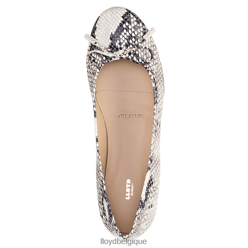 LLOYD ballerine femmes combiné 4Z6Z661168 chaussures