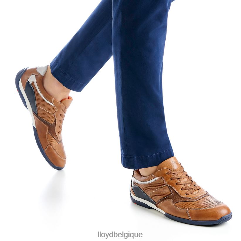 LLOYD baltimore Hommes brun 4Z6Z66287 chaussures