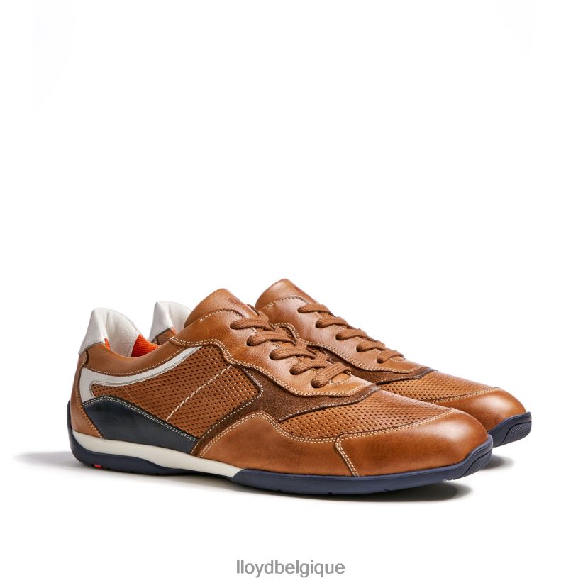 LLOYD baltimore Hommes brun 4Z6Z66287 chaussures