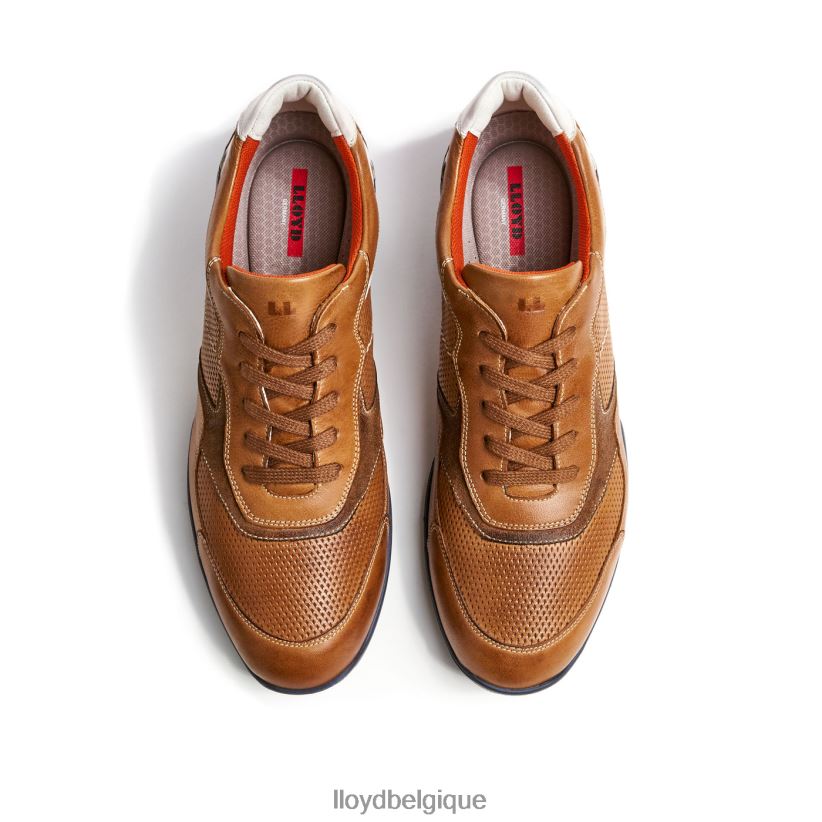 LLOYD baltimore Hommes brun 4Z6Z66287 chaussures