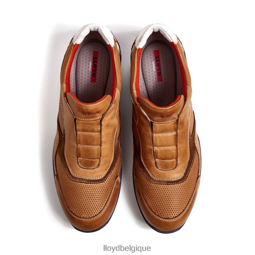 LLOYD banfield Hommes brun 4Z6Z66347 chaussures