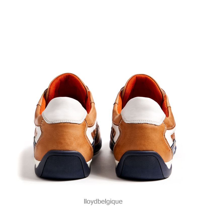 LLOYD banfield Hommes brun 4Z6Z66347 chaussures