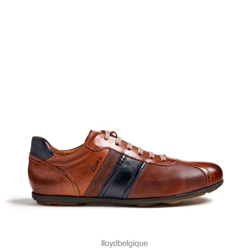 LLOYD barette Hommes brun 4Z6Z66354 chaussures
