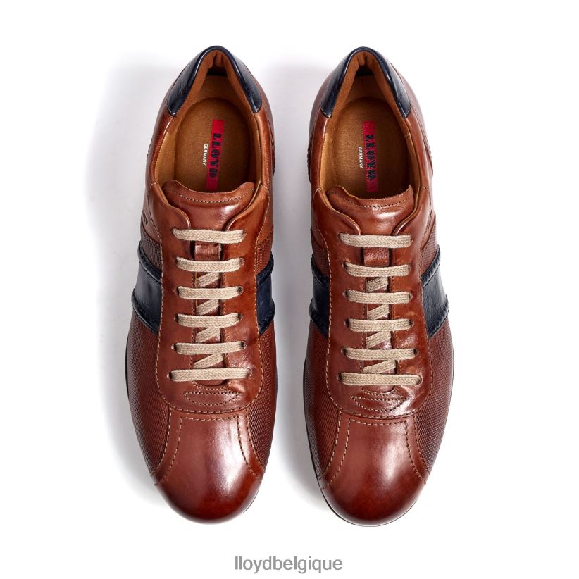 LLOYD barette Hommes brun 4Z6Z66354 chaussures