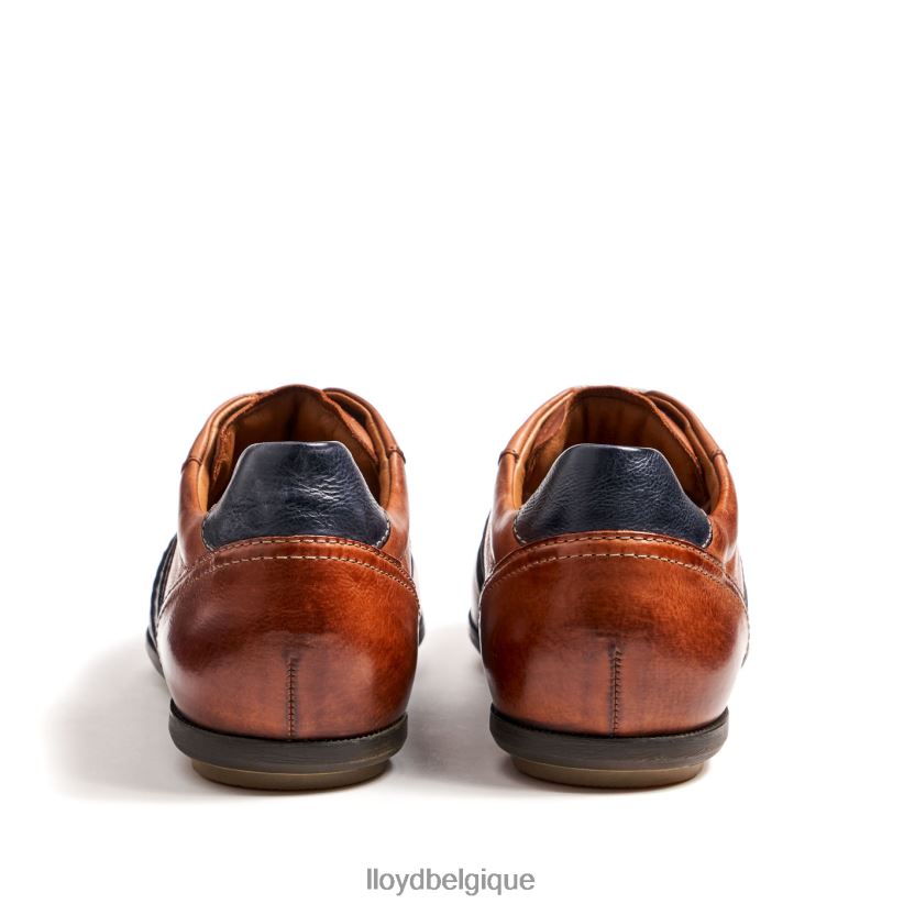 LLOYD barette Hommes brun 4Z6Z66354 chaussures