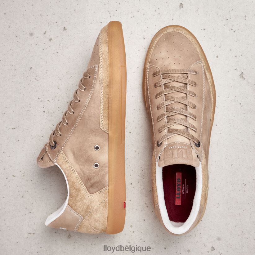 LLOYD baron Hommes beige 4Z6Z66441 chaussures