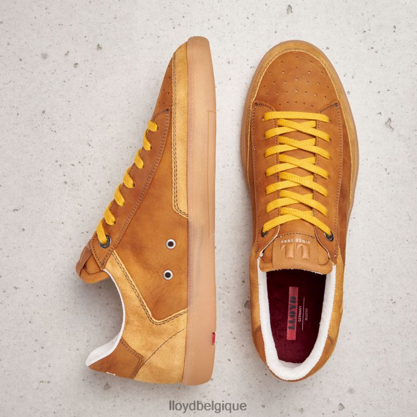 LLOYD baron Hommes brun 4Z6Z66427 chaussures