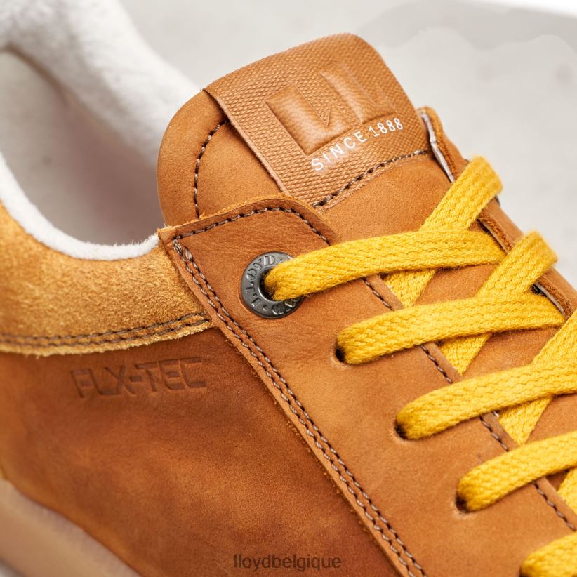 LLOYD baron Hommes brun 4Z6Z66427 chaussures