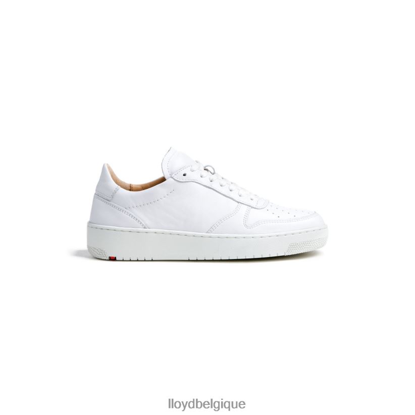 LLOYD baskets basses en cuir femmes blanc 4Z6Z66765 chaussures