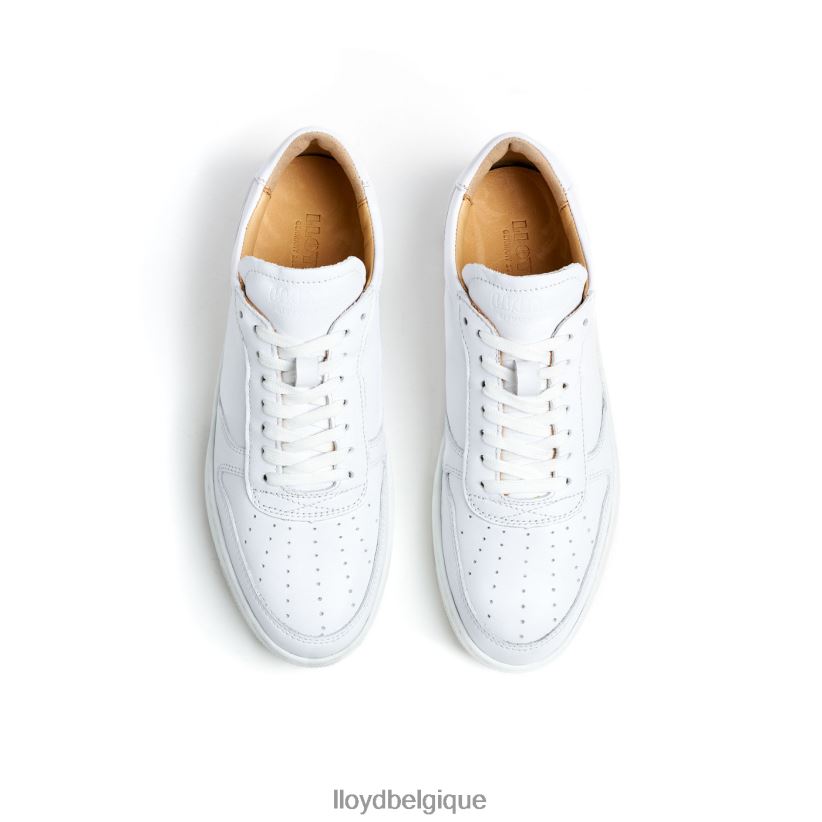 LLOYD baskets basses en cuir femmes blanc 4Z6Z66765 chaussures