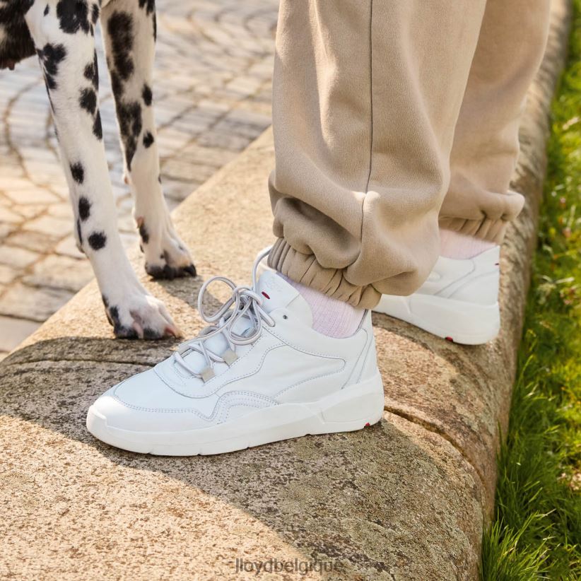 LLOYD baskets basses en cuir femmes blanc 4Z6Z66829 chaussures