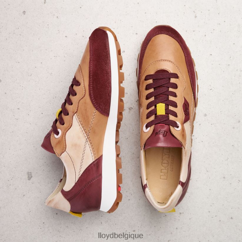 LLOYD baskets basses femmes combiné 4Z6Z66774 chaussures