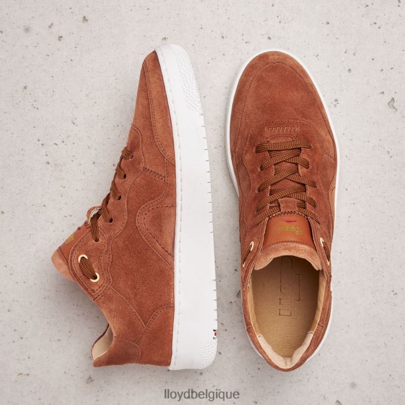 LLOYD baskets en daim femmes brun 4Z6Z66819 chaussures