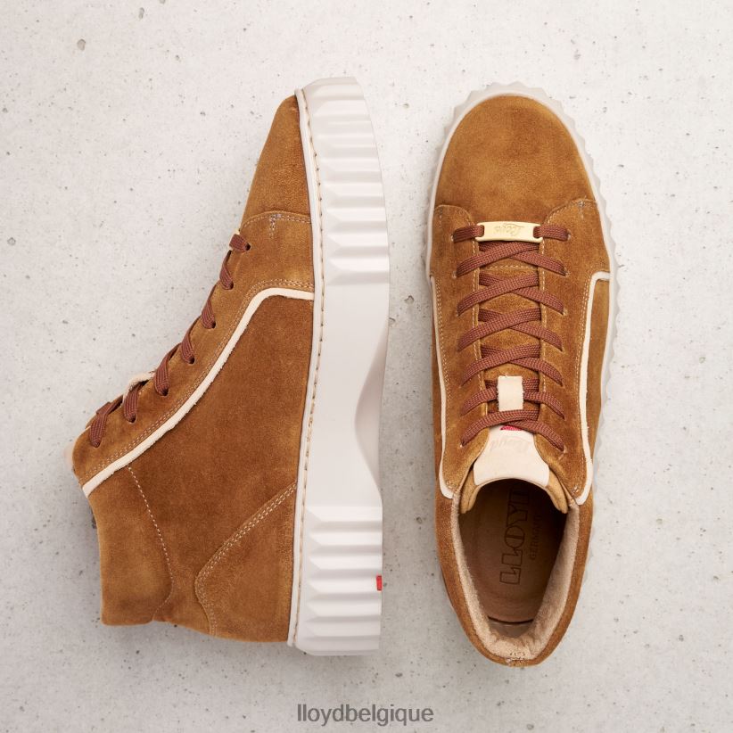 LLOYD baskets montantes femmes brun 4Z6Z66771 chaussures