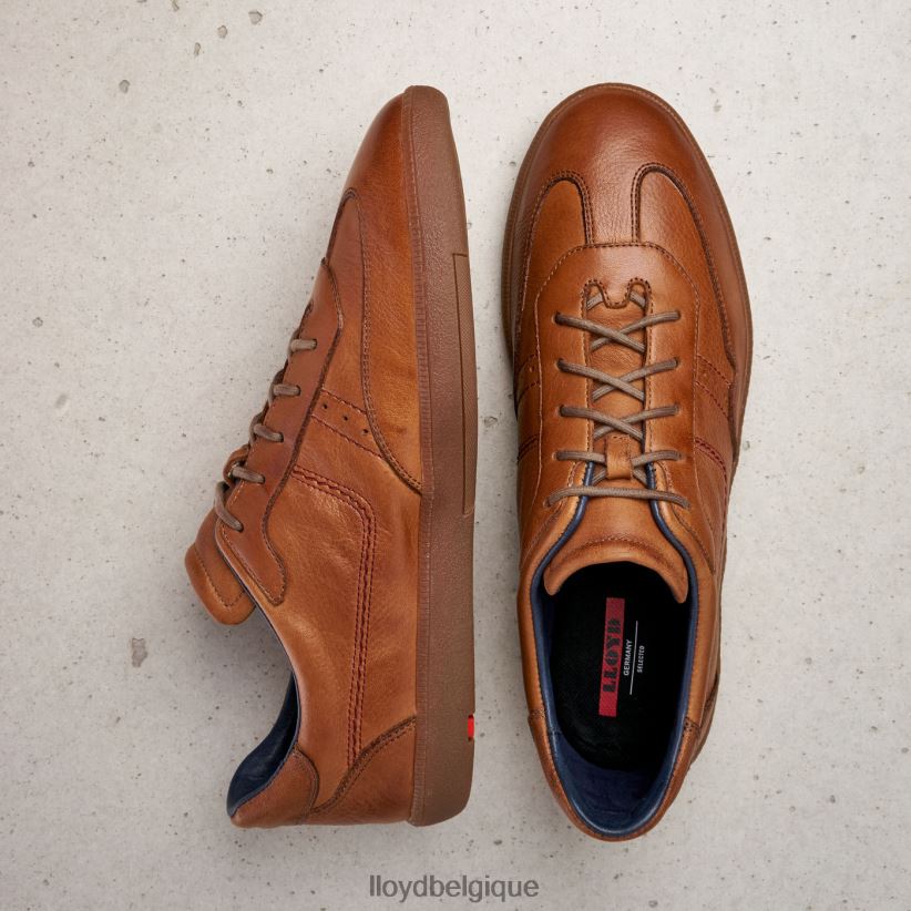LLOYD bastien Hommes brun 4Z6Z66423 chaussures
