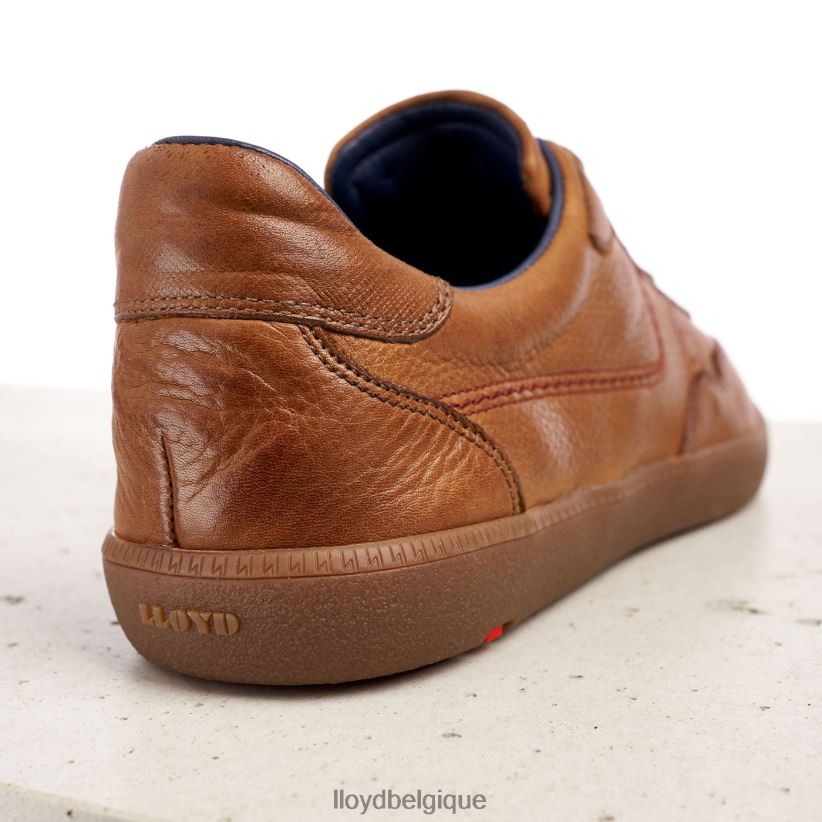 LLOYD bastien Hommes brun 4Z6Z66423 chaussures