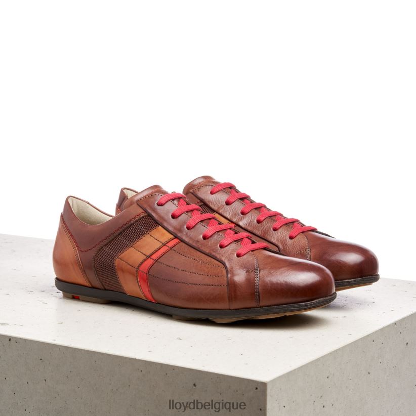 LLOYD benson Hommes brun 4Z6Z66439 chaussures