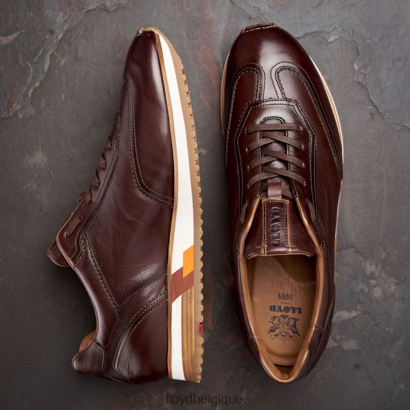 LLOYD blake Hommes brun 4Z6Z66325 chaussures