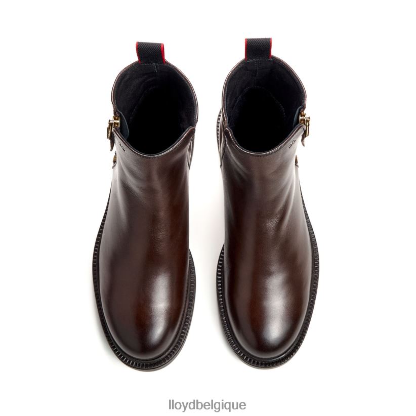 LLOYD bottine classique femmes brun 4Z6Z66876 chaussures