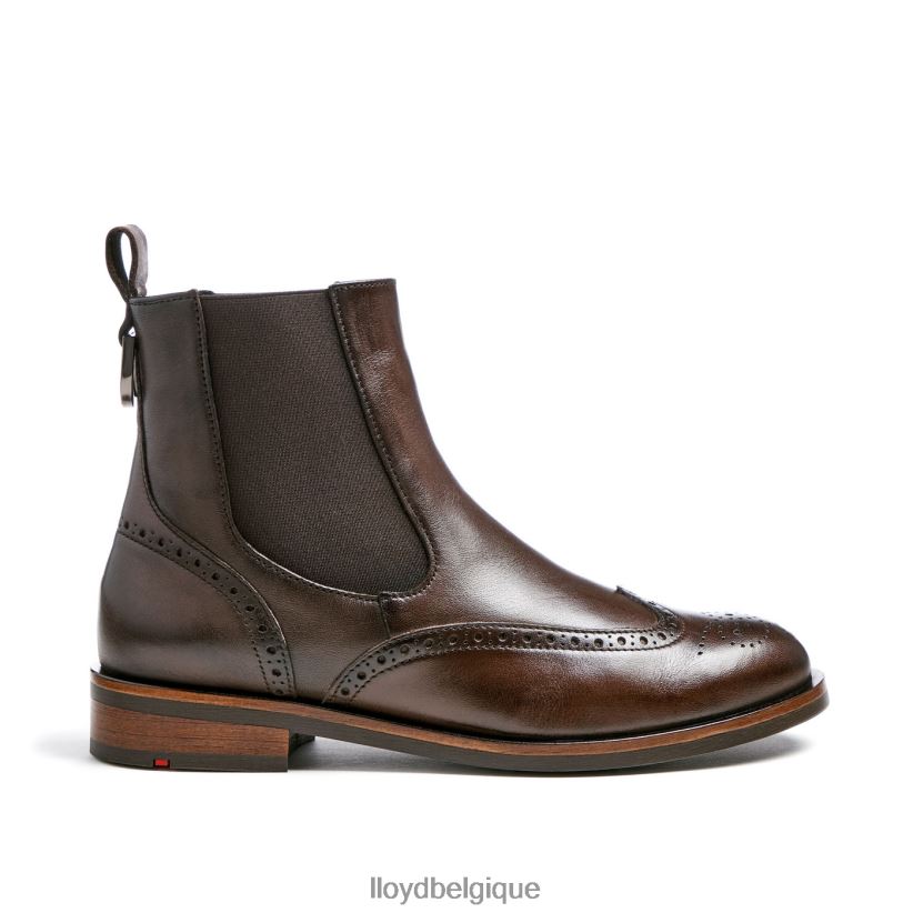 LLOYD bottine classique femmes brun 4Z6Z66905 chaussures