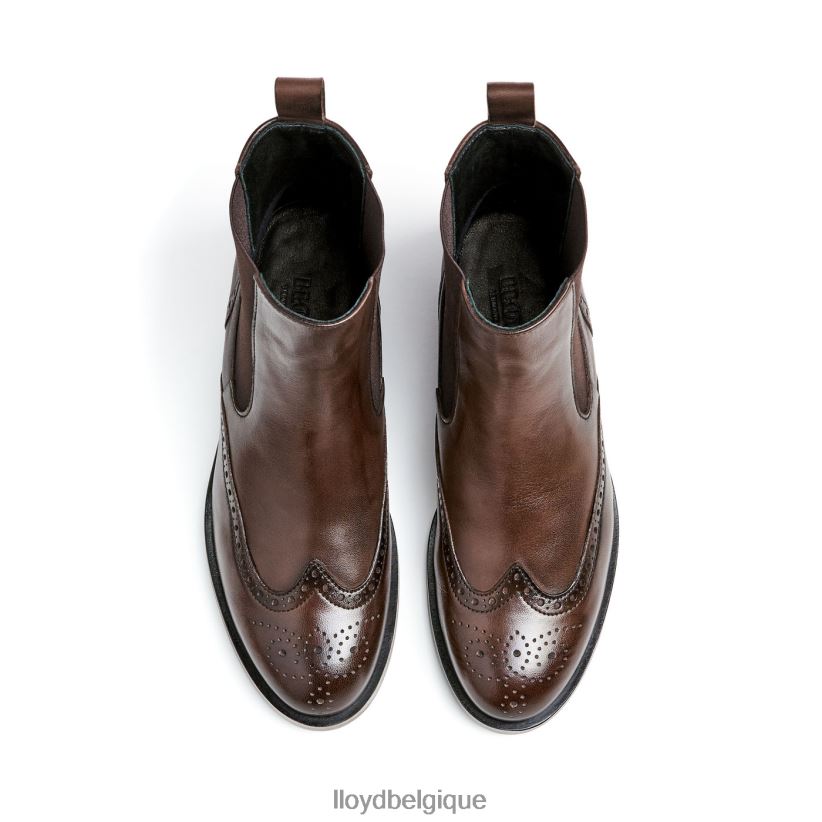 LLOYD bottine classique femmes brun 4Z6Z66905 chaussures