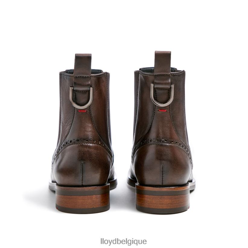 LLOYD bottine classique femmes brun 4Z6Z66905 chaussures