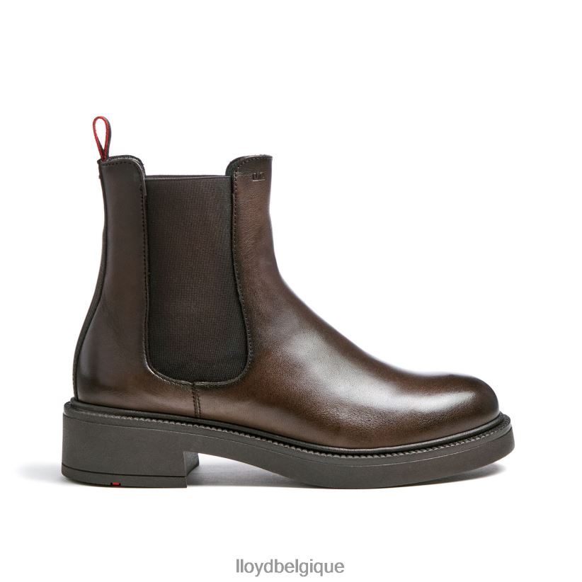 LLOYD bottine sportive en cuir lisse femmes brun 4Z6Z66893 chaussures
