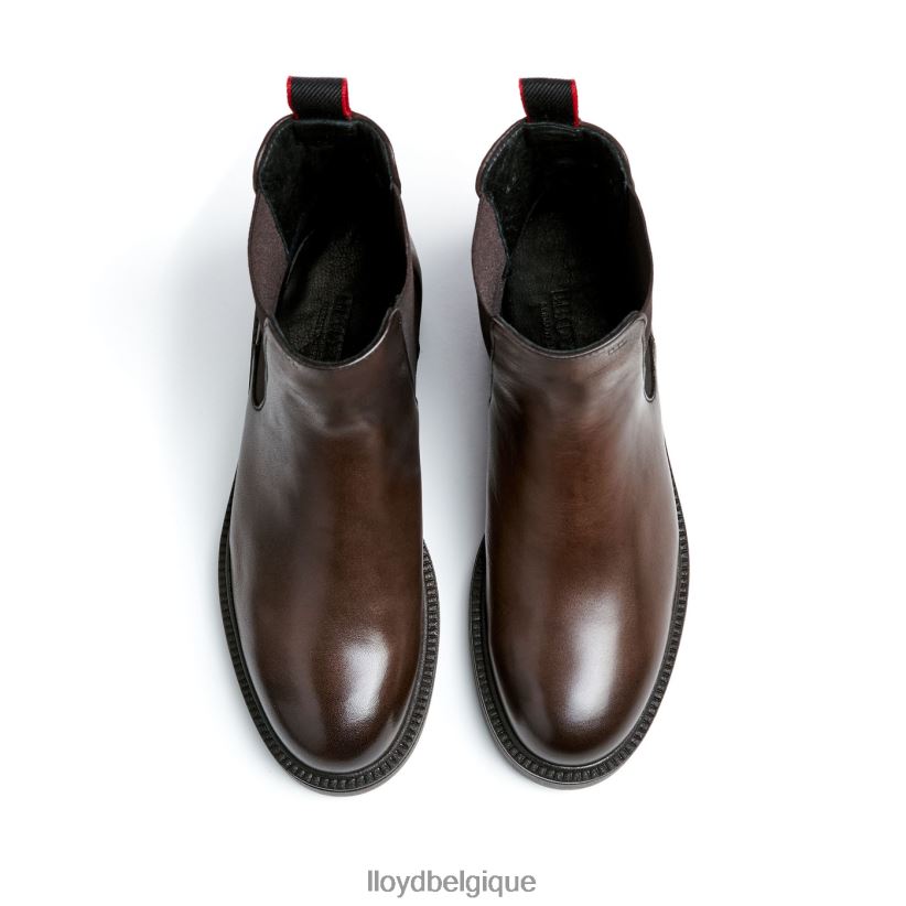 LLOYD bottine sportive en cuir lisse femmes brun 4Z6Z66893 chaussures