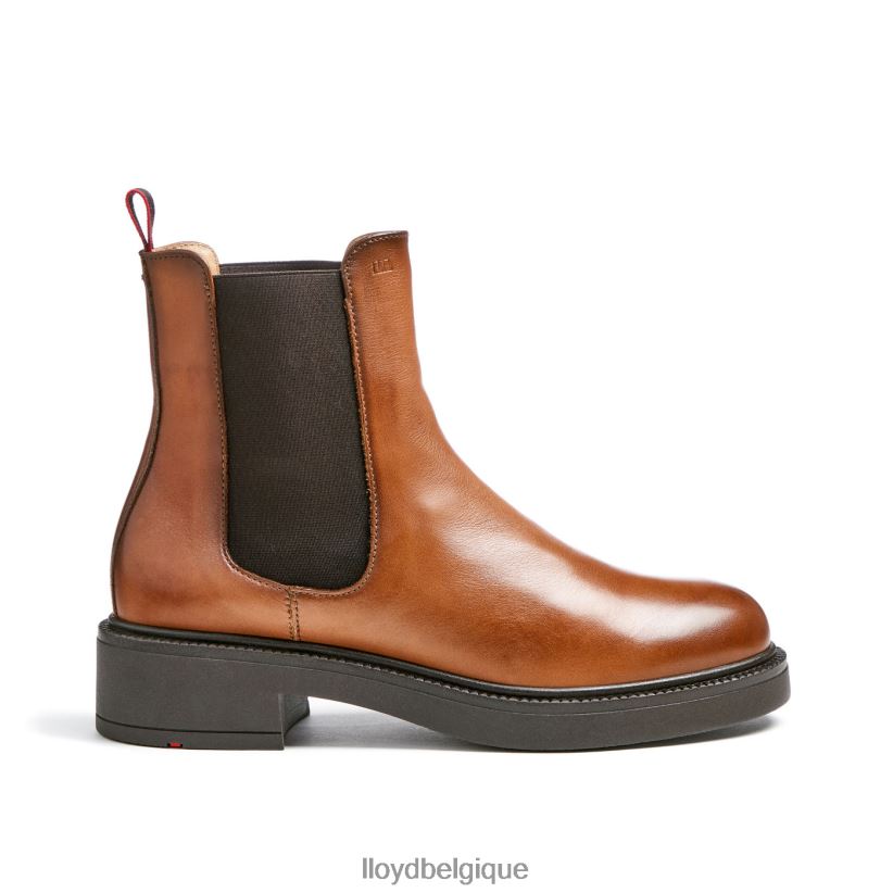LLOYD bottine sportive en cuir lisse femmes brun 4Z6Z66894 chaussures