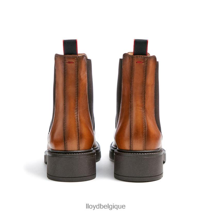 LLOYD bottine sportive en cuir lisse femmes brun 4Z6Z66894 chaussures