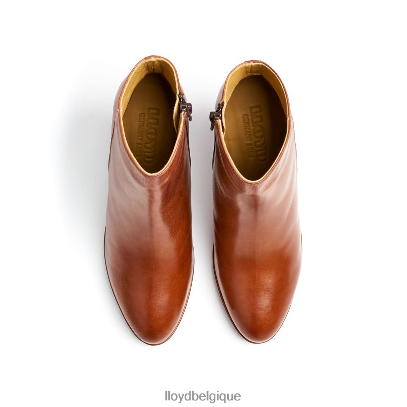 LLOYD bottines en cuir femmes brun 4Z6Z66921 chaussures