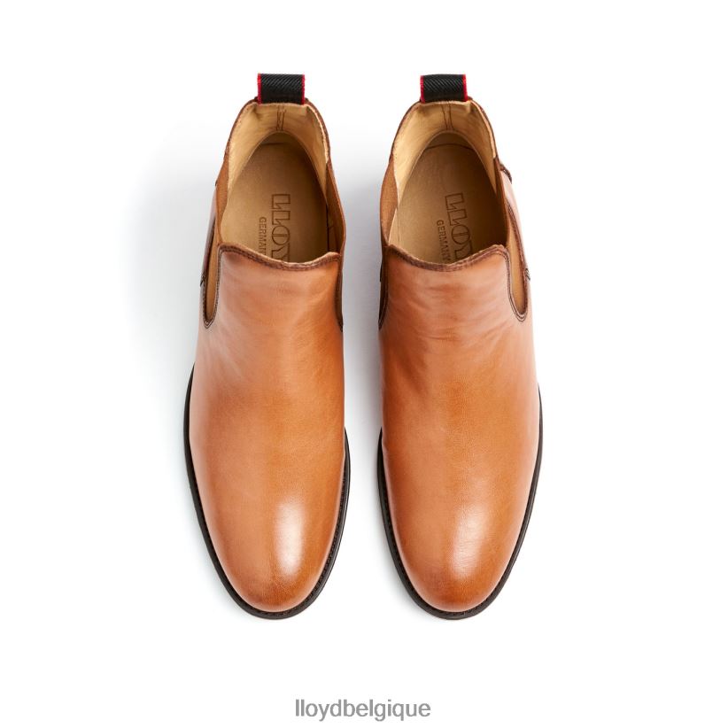 LLOYD bottines en cuir femmes brun 4Z6Z66929 chaussures