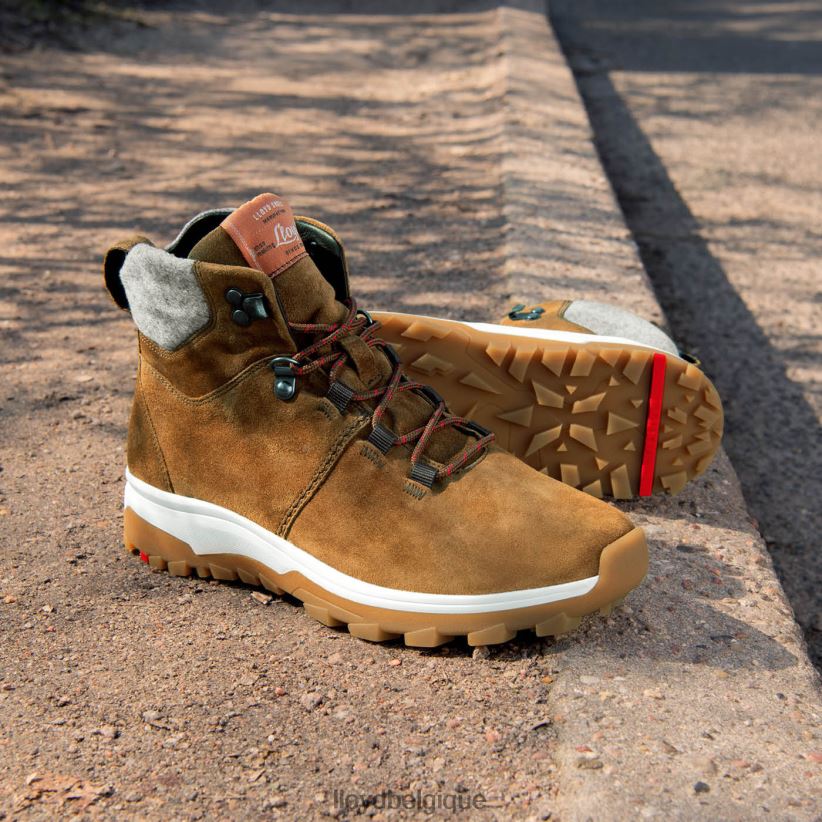 LLOYD bottines femmes brun 4Z6Z66856 chaussures