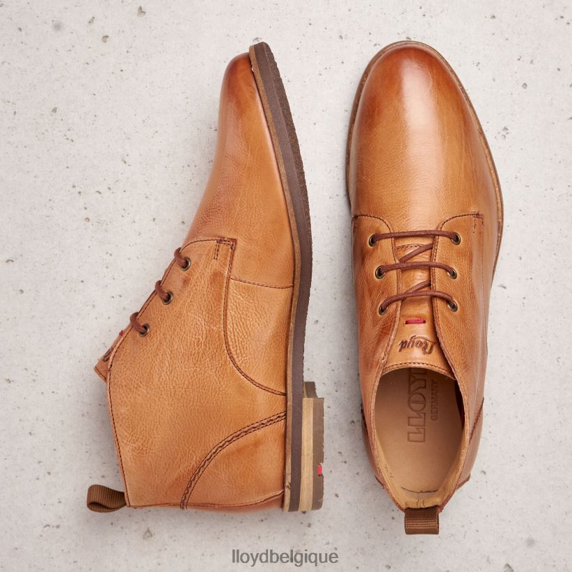 LLOYD bottines à lacets femmes brun 4Z6Z66994 chaussures