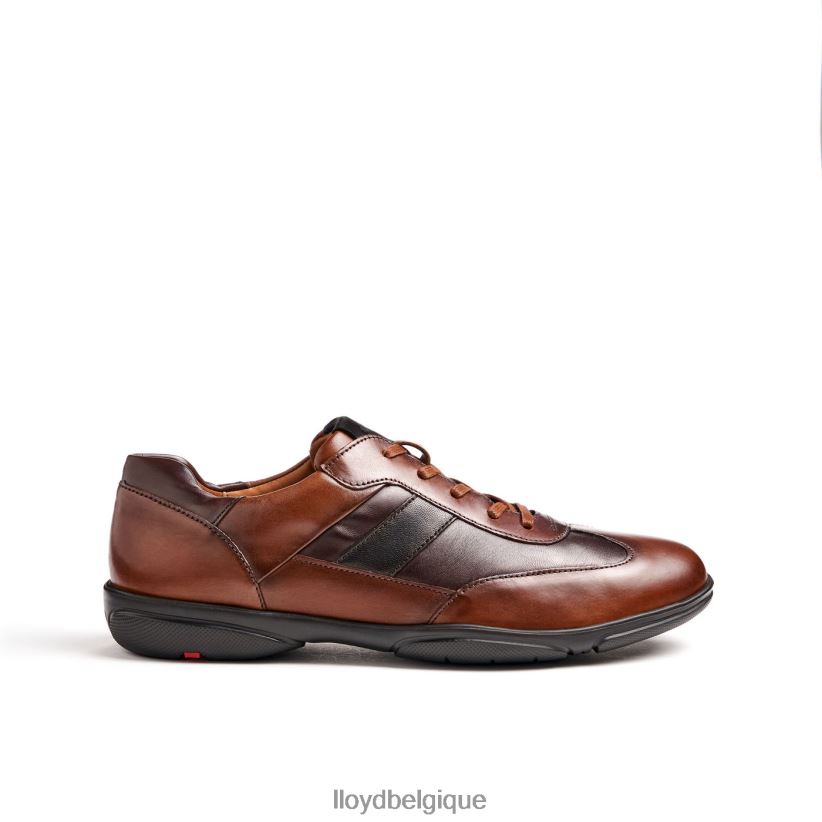 LLOYD bref Hommes brun 4Z6Z66418 chaussures