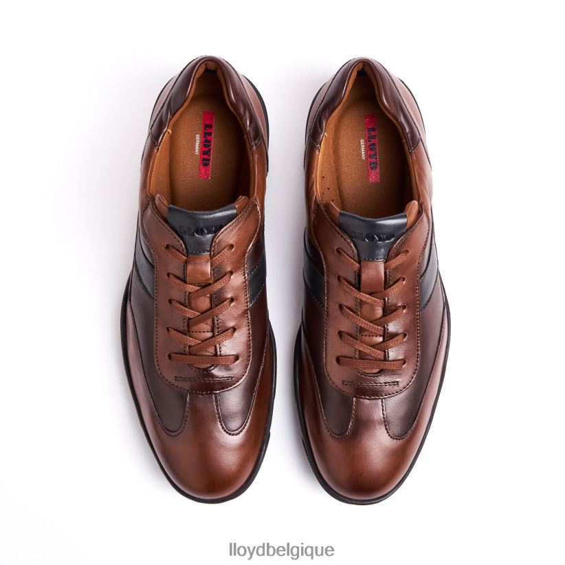 LLOYD bref Hommes brun 4Z6Z66418 chaussures