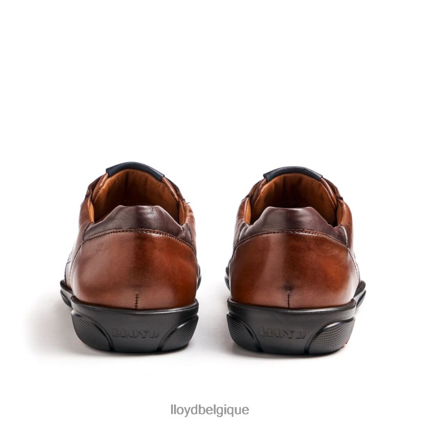 LLOYD bref Hommes brun 4Z6Z66418 chaussures