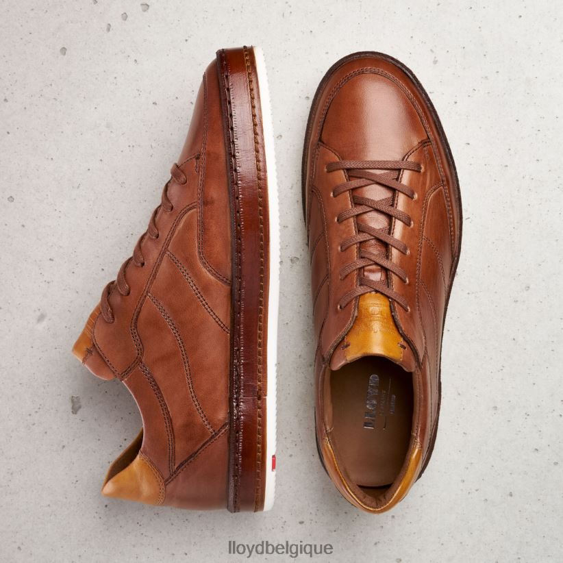 LLOYD brûlure noire Hommes brun 4Z6Z66440 chaussures