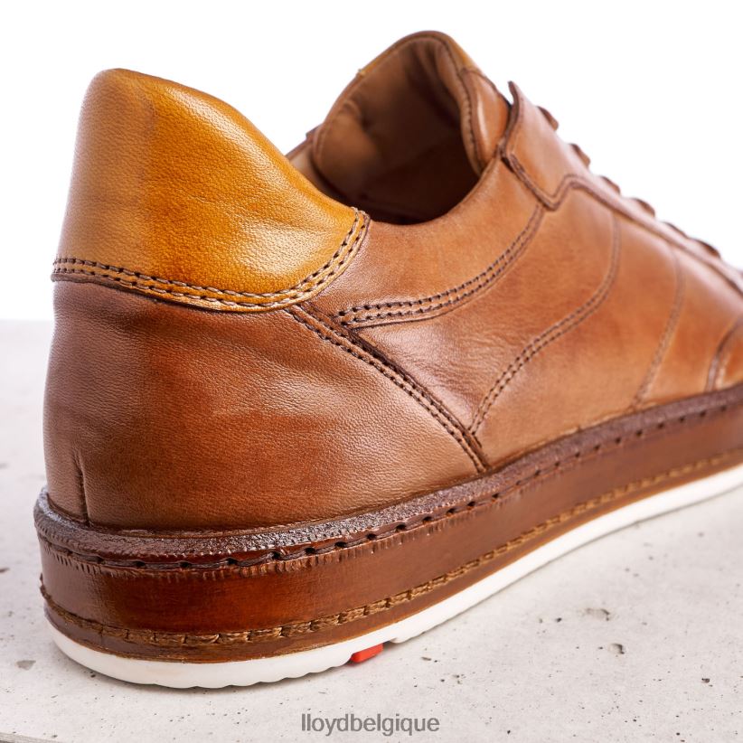 LLOYD brûlure noire Hommes brun 4Z6Z66440 chaussures