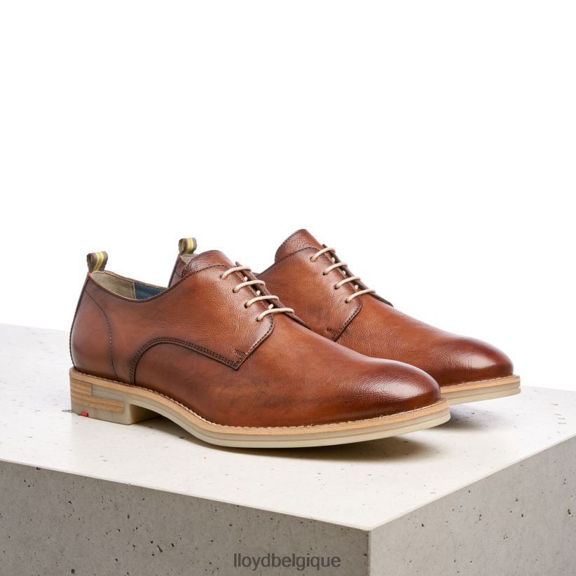 LLOYD dakota Hommes brun 4Z6Z66608 chaussures