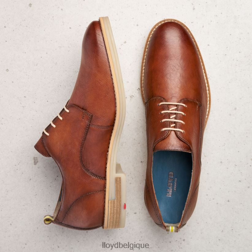 LLOYD dakota Hommes brun 4Z6Z66608 chaussures