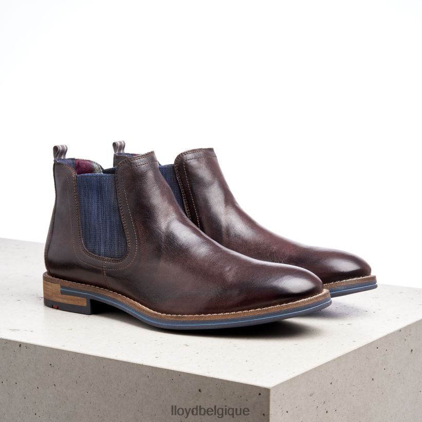 LLOYD dario Hommes brun 4Z6Z661342 chaussures