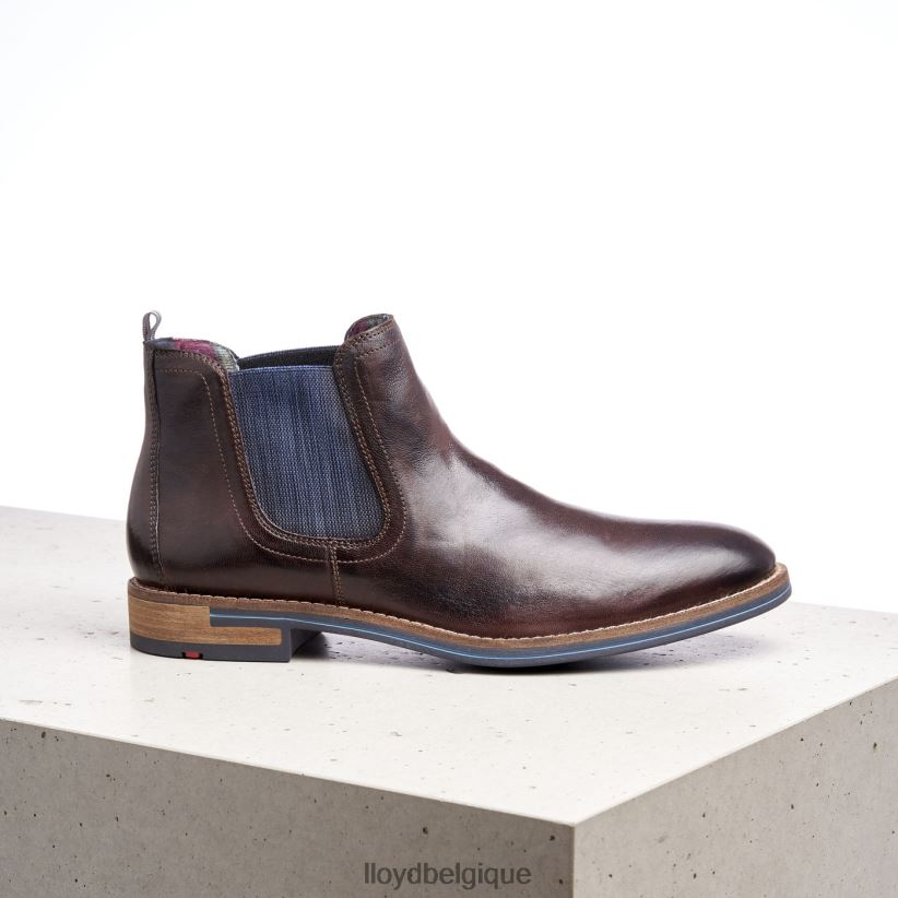 LLOYD dario Hommes brun 4Z6Z661342 chaussures